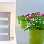 Tatil Evi Wellness Und Stella- In Der Naehe Von Straenden - By Interhome