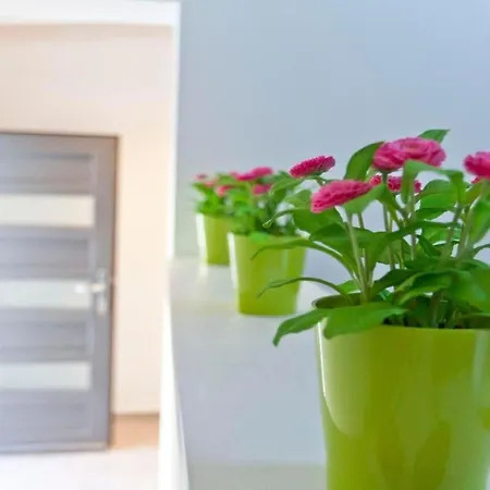 Будинок відпочинку Wellness Und Stella- In Der Naehe Von Straenden - By Interhome