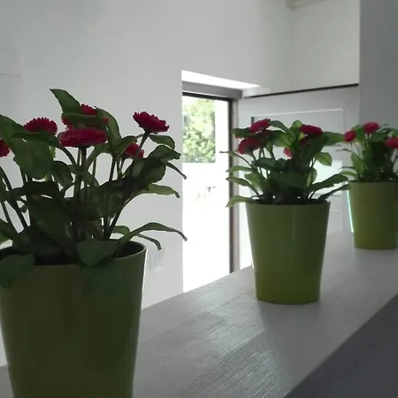 Wellness Und Stella- In Der Naehe Von Straenden - By Interhome Пула