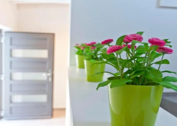 Holiday home Wellness Und Stella- In Der Naehe Von Straenden - By Interhome