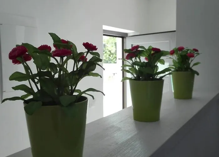 Wellness Und Stella- In Der Naehe Von Straenden - By Interhome Pula