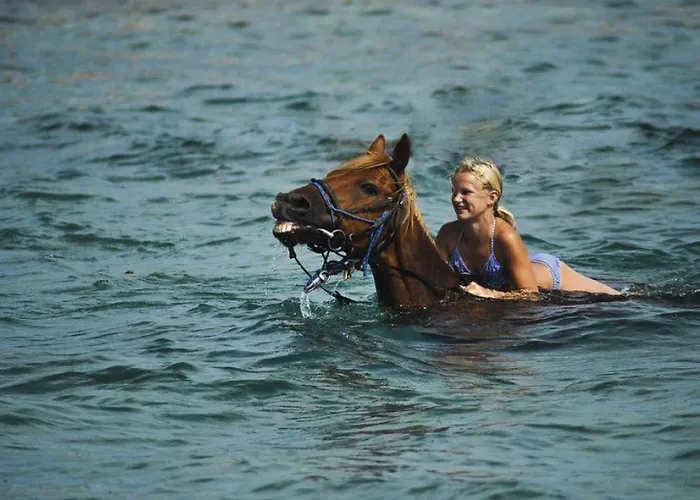 Holiday home Wellness Und Stella- In Der Naehe Von Straenden - By Interhome