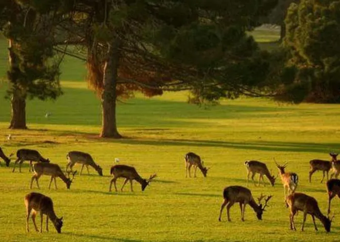 Дом отдыха Wellness Und Stella- In Der Naehe Von Straenden - By Interhome *