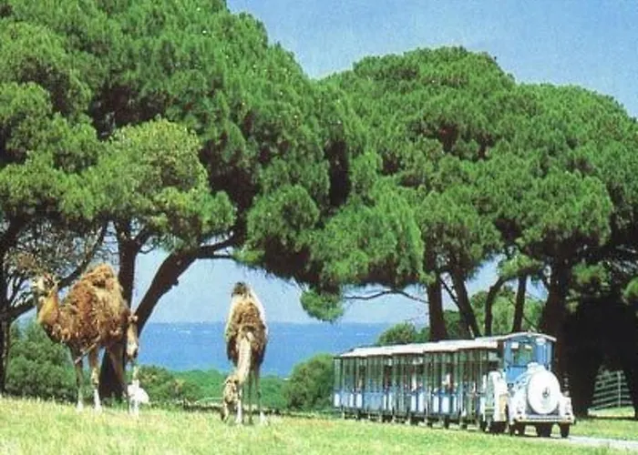 Wellness Und Stella- In Der Naehe Von Straenden - By Interhome Holiday home *