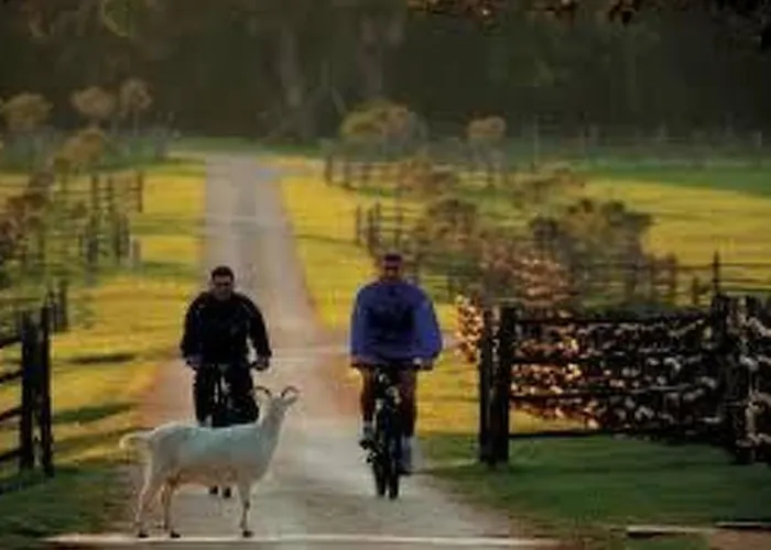 Wellness Und Stella- In Der Naehe Von Straenden - By Interhome *