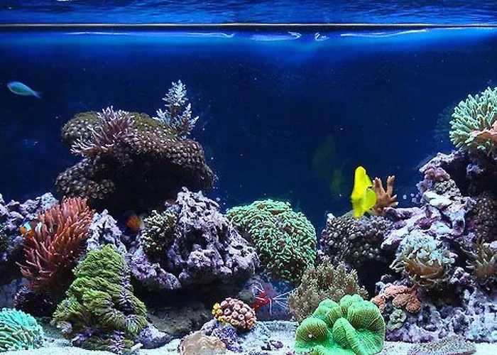 Wellness Und Stella- In Der Naehe Von Straenden - By Interhome Pula